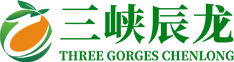 網(wǎng)絡(luò)經(jīng)濟(jì)主體信息